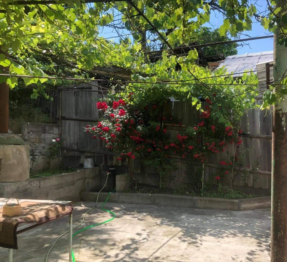 Guest House Anastasia Borjomi Exterior photo